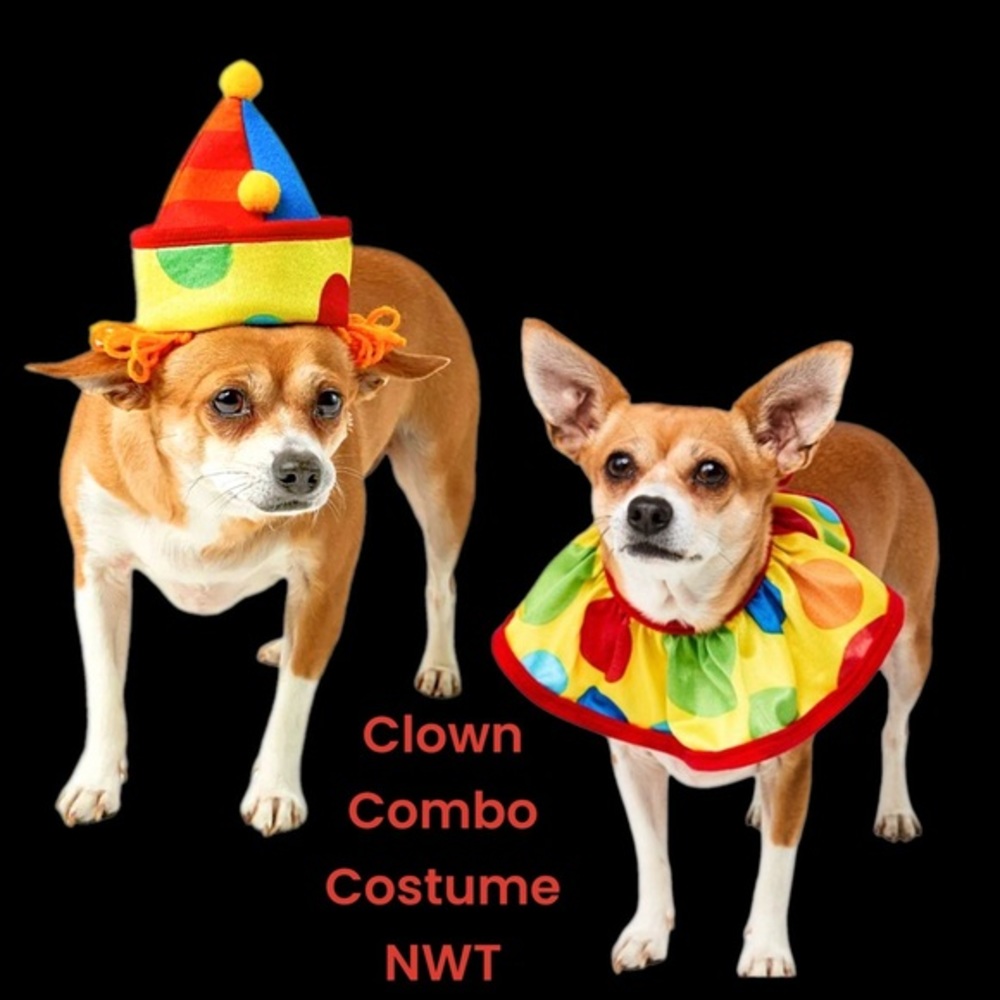 Rubies Pet Shop Boutique Dog Clown Collar & Hat Combo Costume NWT